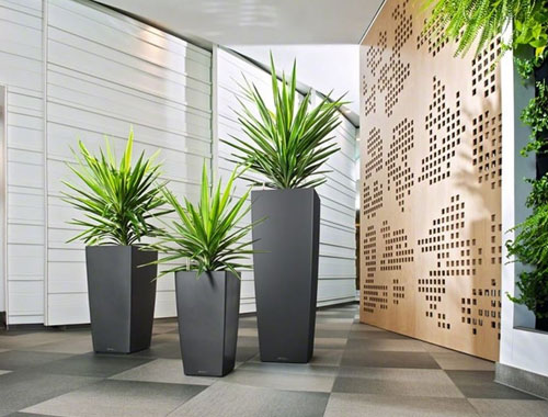 Indoor Planters Manufacturers in Siliguri