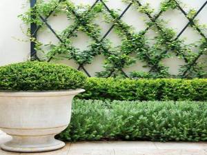 Natural Vertical Garden Manufacturers in Vrindavan