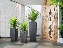 Indoor Planters Suppliers in Kapurthala