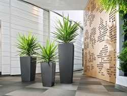 Indoor Planters Suppliers in Mumbai