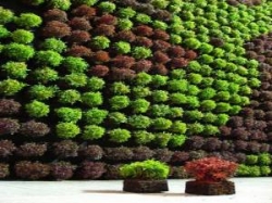 Artificial Vertical Garden Manufacturers in Delhi
